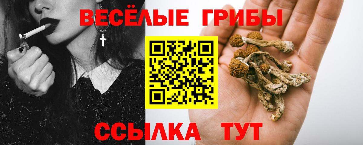 Псилоцибиновые грибы мицелий Энгельс